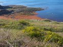 2015-09-28 10-28-13 St Gildas-Chemin des douaniers MBo